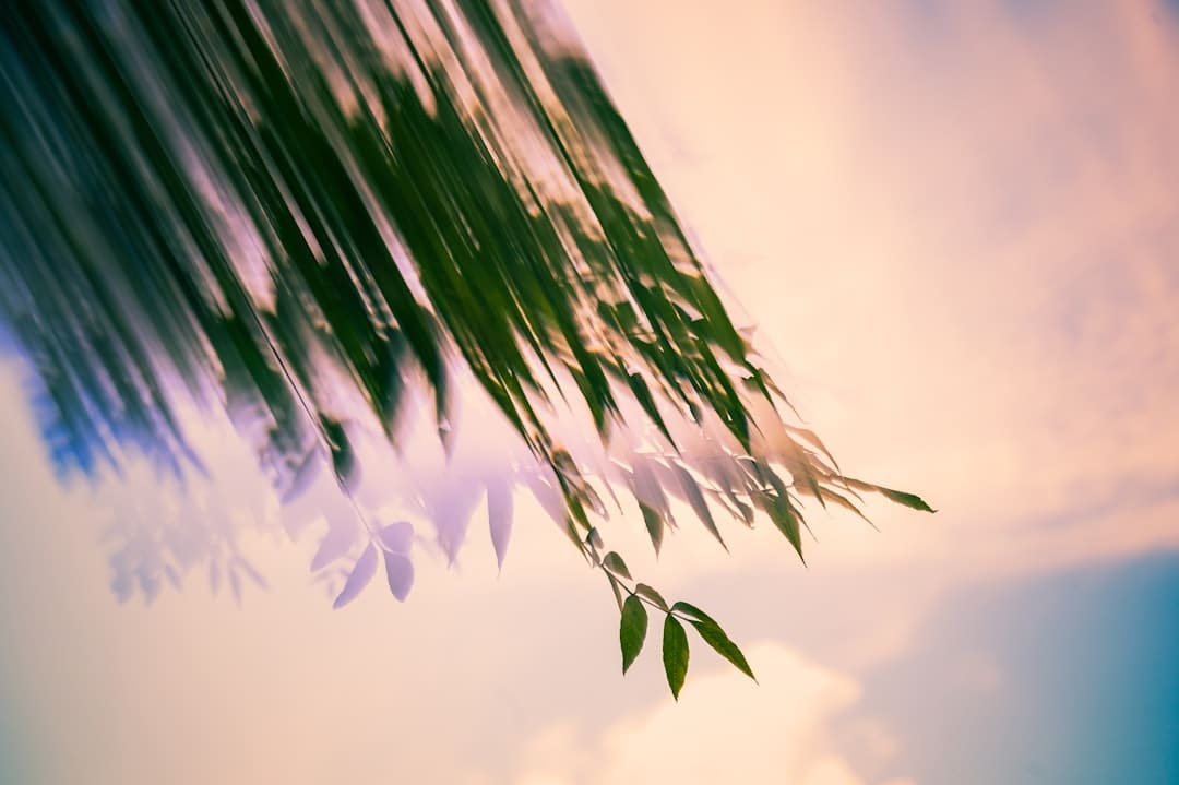 邂逅敦煌风华！张大千敦煌岩画描摹特展露脸博龙大观艺术中心